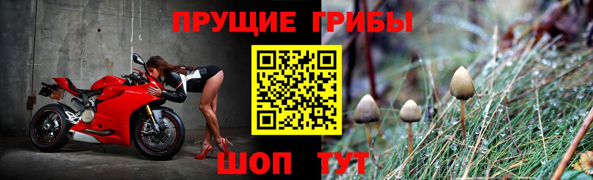 Галлюциногенные грибы мухоморы  Галлюциногенные грибы GOLDEN TEACHER  Вход с VPN  Уссурийск 